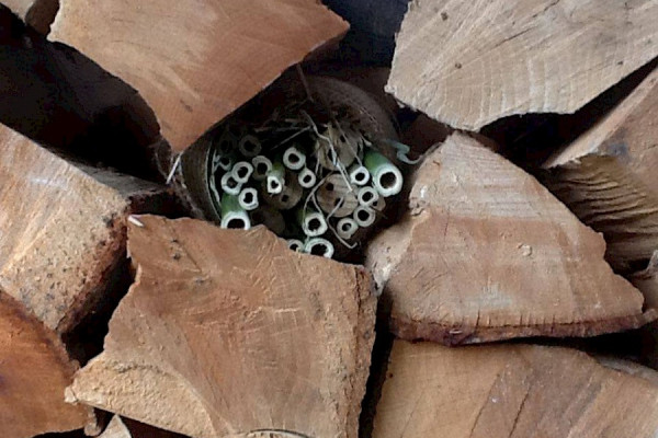 Treffen der Jugendgruppe April 2018 - Insektenhotels