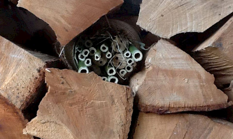 Treffen der Jugendgruppe April 2018 - Insektenhotels
