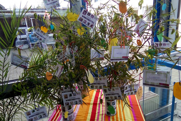 Treffen der Jugendgruppe April 2019 - Tierheim-Wunschbaum
