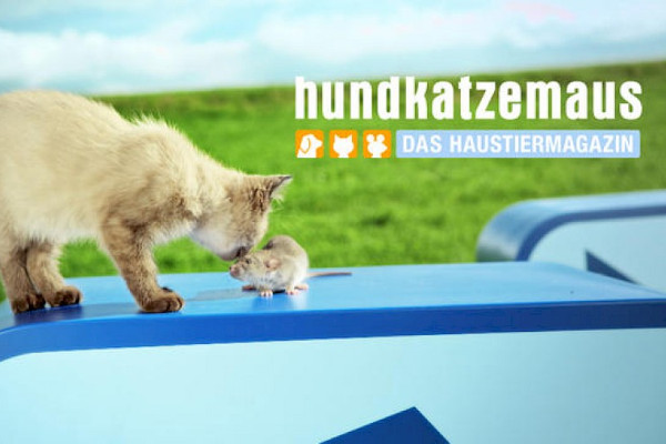 Hamster Berta aus unserem großen Notfall bei VOX im TV