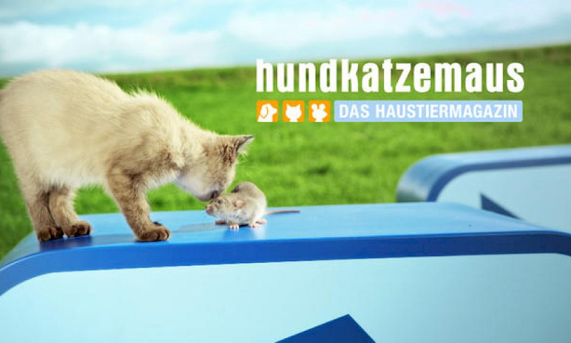 Hamster Berta aus unserem großen Notfall bei VOX im TV