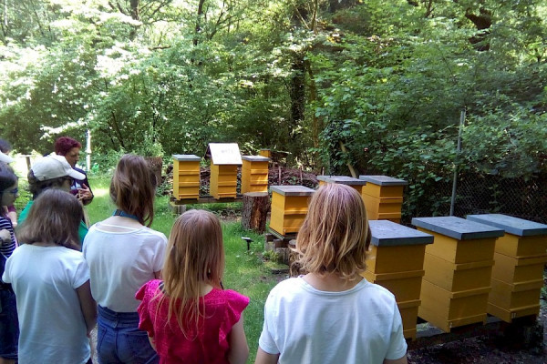 Treffen der Jugendgruppe Juni 2019 - Ausflug zu den Bienen