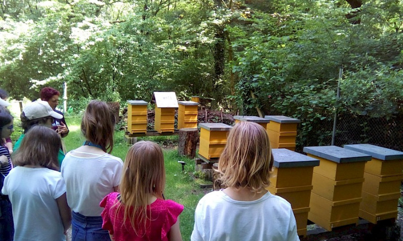 Treffen der Jugendgruppe Juni 2019 - Ausflug zu den Bienen