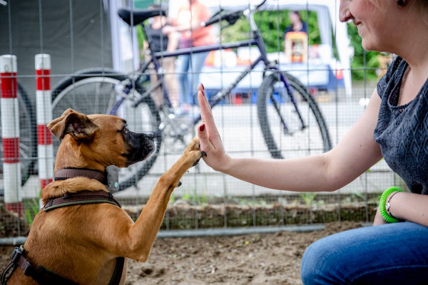 Sehr erfolgreiches Frühlingsfest 2019