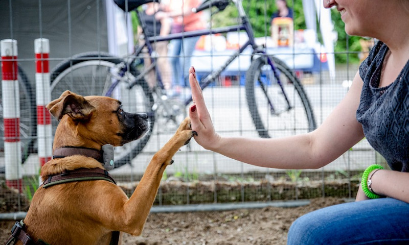 Sehr erfolgreiches Frühlingsfest 2019