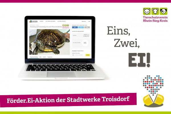 Auf die Eier – fertig – los