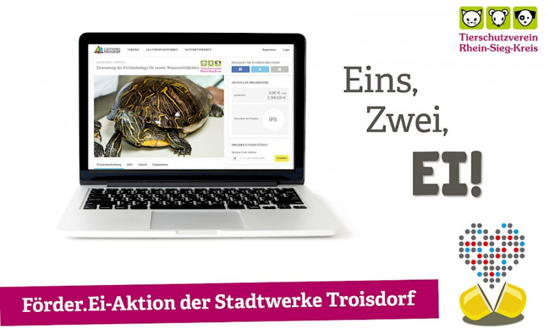 Auf die Eier – fertig – los