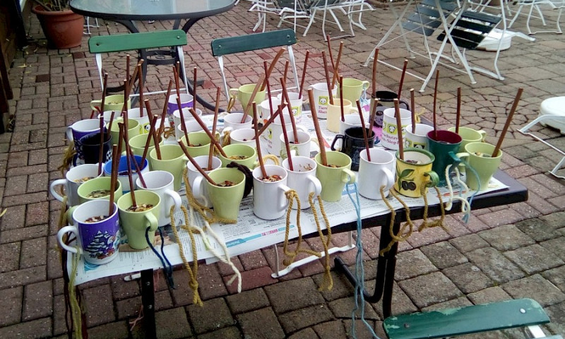 Treffen der Jugendgruppe Oktober 2019 - Vogelfutter und Ziegenböckchen
