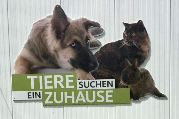 Oli P. und "Tiere suchen ein Zuhause" im Tierheim - Teil 2