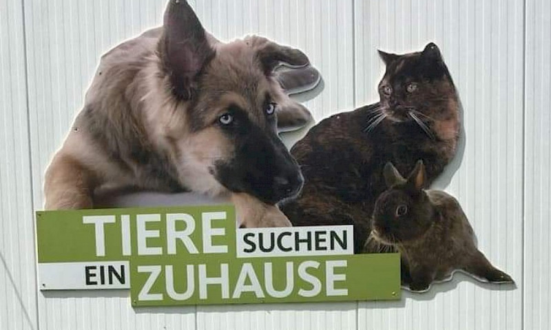 Oli P. und "Tiere suchen ein Zuhause" im Tierheim - Teil 2