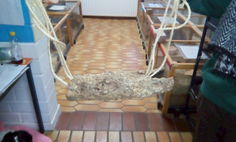 Treffen der Jugendgruppe Januar 2020 - Luna, Korkschaukeln und mehr