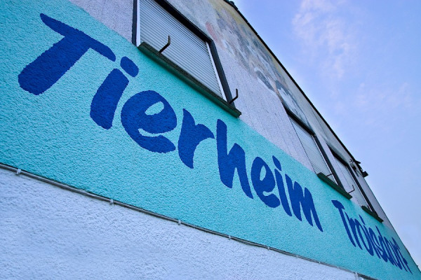 Tierheim bis auf weiteres für den Publikumsverkehr geschlossen.
