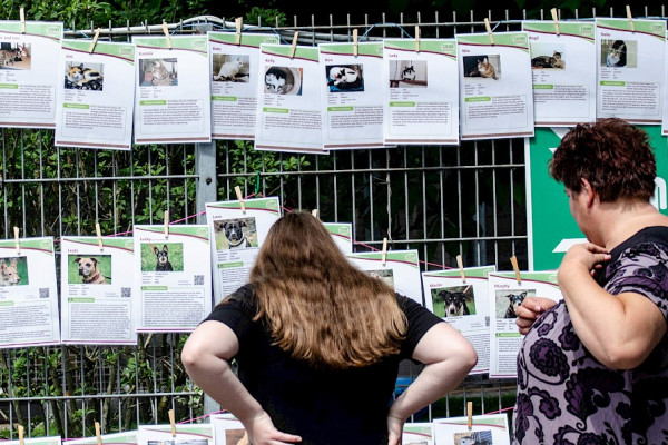 Mitgliederversammlung verschoben