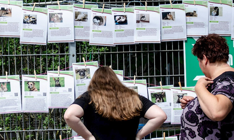 Mitgliederversammlung verschoben
