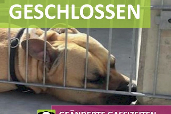 Tierheim am Wochenende für Besucher geschlossen
