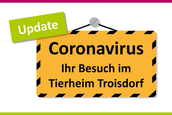 Tierheim bis auf weiteres für Besucher geschlossen