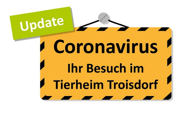 Tierheim bis auf weiteres für Besucher geschlossen