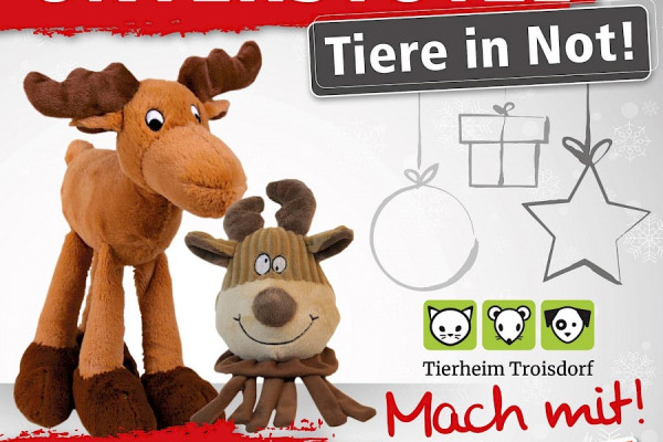 Auf die Elche, fertig, los