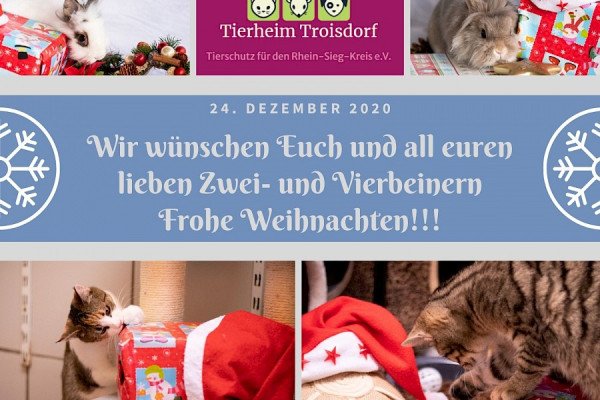 Frohe Festtage und danke für Ihre Unterstützung