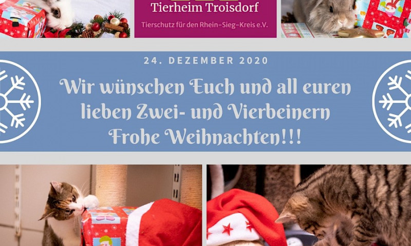 Frohe Festtage und danke für Ihre Unterstützung
