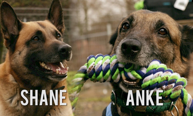 Pechvögel Shane und Anke suchen ihre neuen Leute