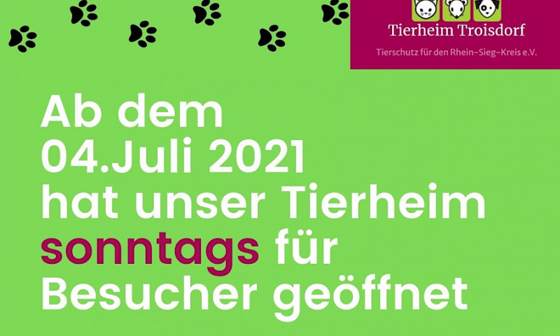 Tierheim öffnet wieder