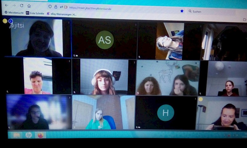Treffen der Jugendgruppe Juni 2021 – Fünftes Online-Meeting