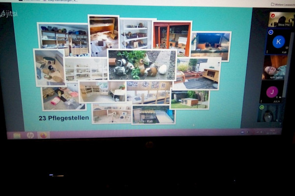 Treffen der Jugendgruppe Dezember 2021: Online Besuch Meerschweinchen-Pflegestelle