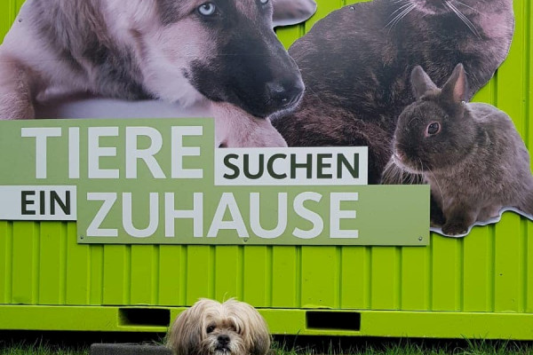 Unser Tierheim zu Gast bei "Tiere suchen ein Zuhause"