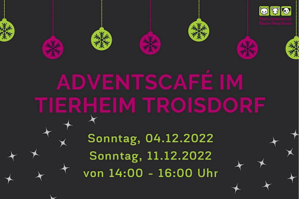 Adventscafe im Tierheim Troisdorf