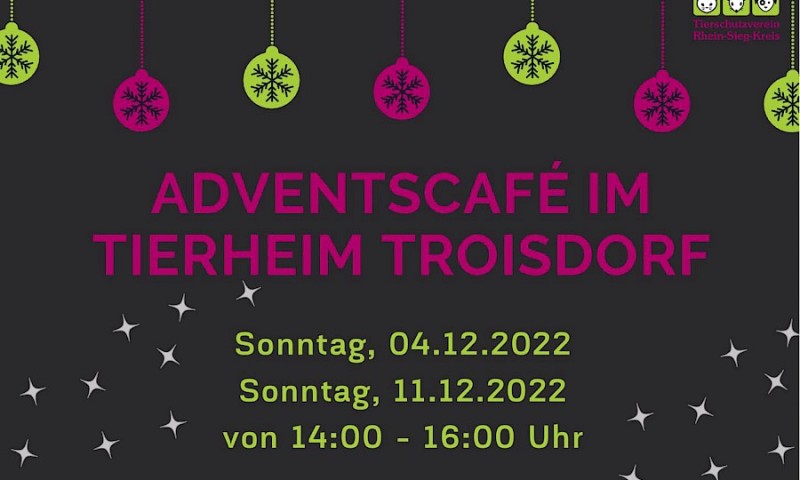 Adventscafe im Tierheim Troisdorf