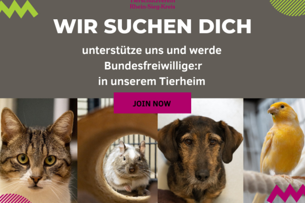 Bundesfreiwilligendienst