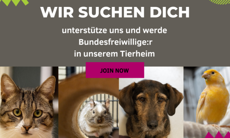 Bundesfreiwilligendienst