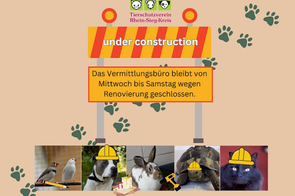 Renovierungsarbeiten