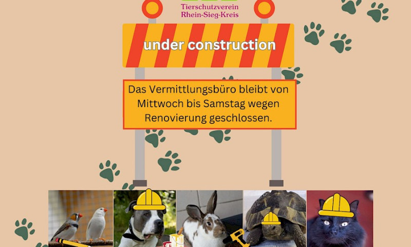 Renovierungsarbeiten