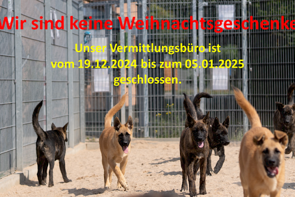 Jahreswechsel 2024/25