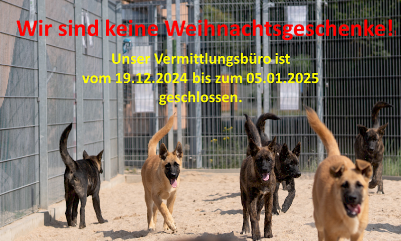 Jahreswechsel 2024/25