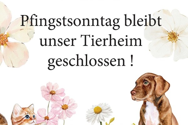 Pfingsten