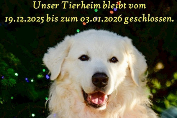 Jahreswechsel 2025 / 2026