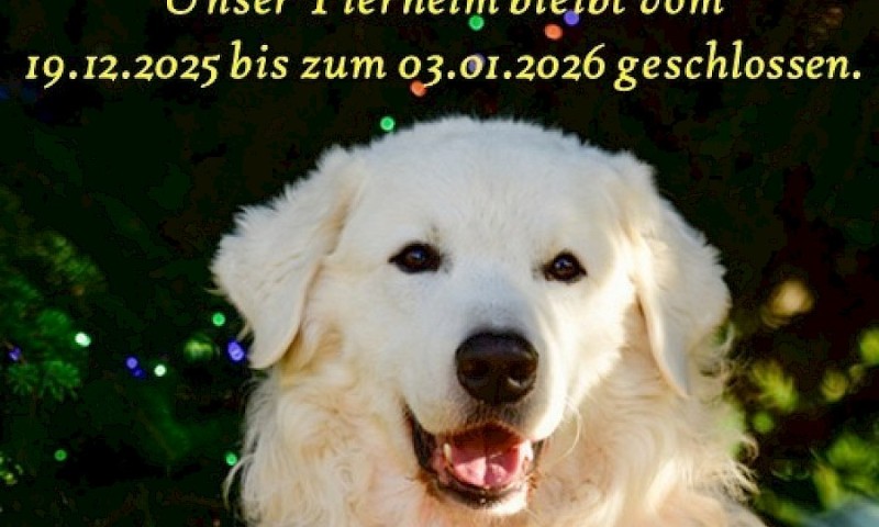 Jahreswechsel 2025 / 2026