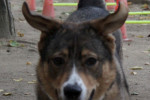 Amy Foto 2