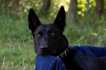 Greta Foto 1