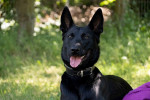 Greta Foto 2