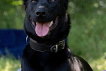Greta Foto 4