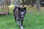 Thor Foto 2