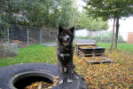 Thor Foto 5