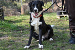 Marley Foto 2