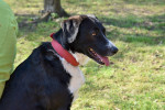 Marley Foto 3