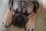 Byron Foto 1