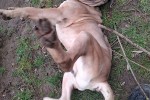 Byron Foto 5